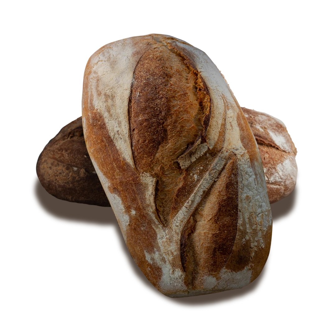 Miche Sourdough